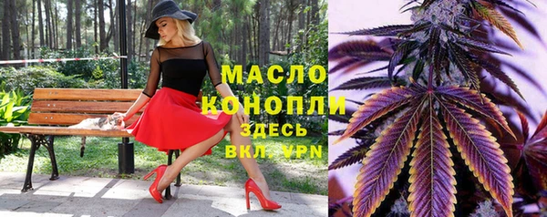 гашик Верея