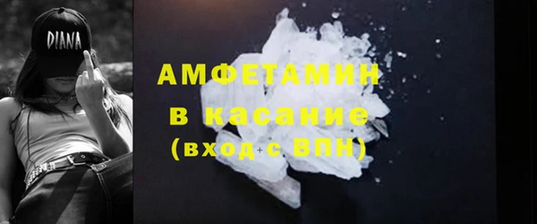 гашик Верея