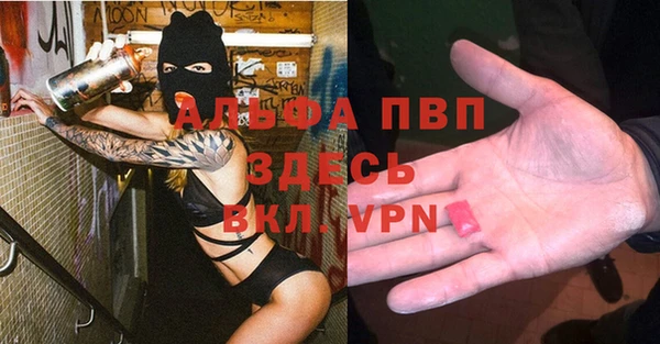 стаф Сосновоборск