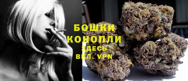 apvp Бородино