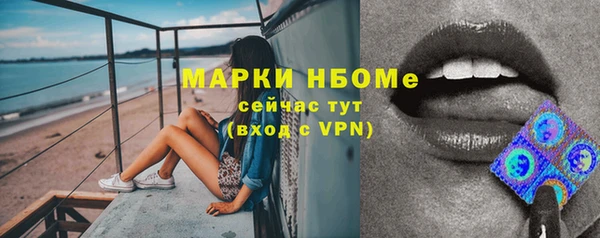 гашик Верея