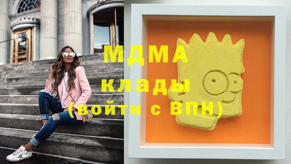 гашик Верея