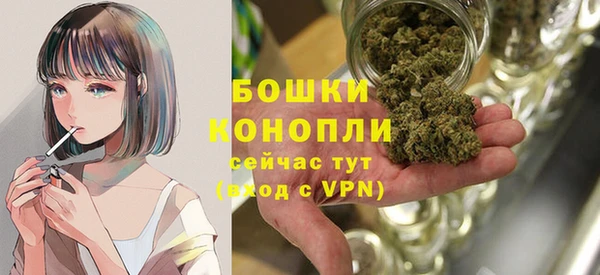 гашик Верея